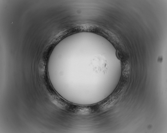 X0000099430456200805301432