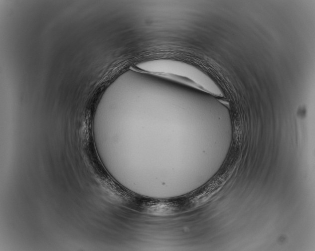 X0000099430460200805301432