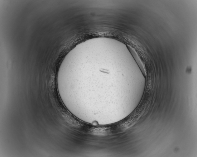 X0000099430461200805301432