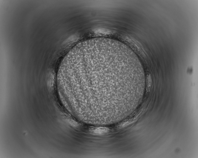 X0000099430463200805301432