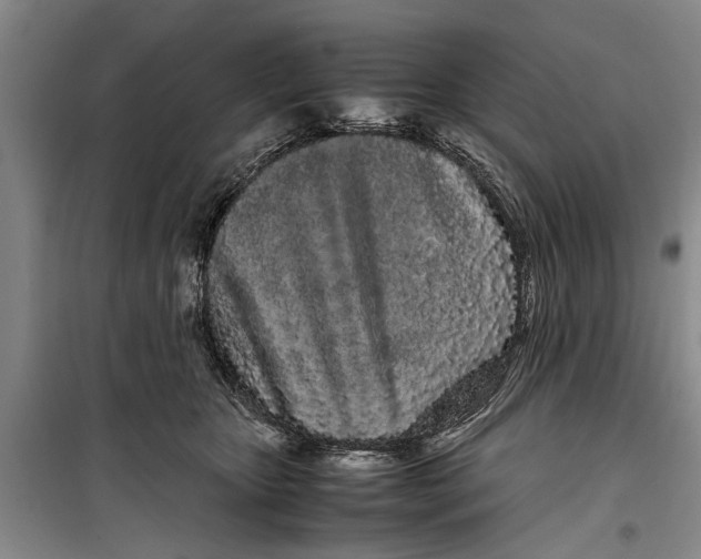 X0000099430467200805301432