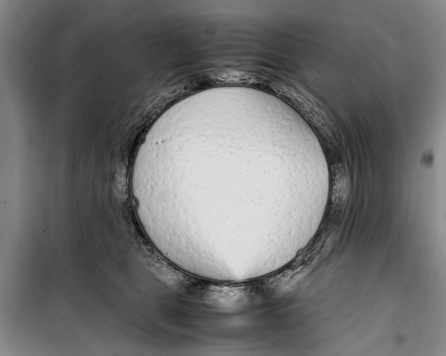 X0000099430469200805301432