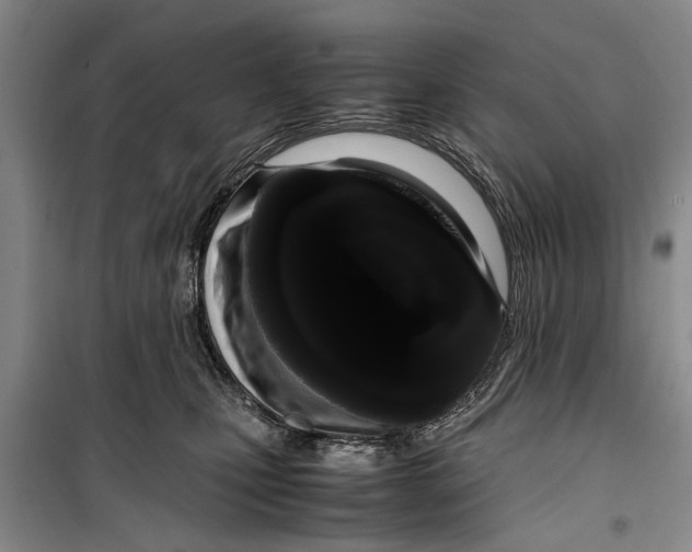 X0000099430471200805301432