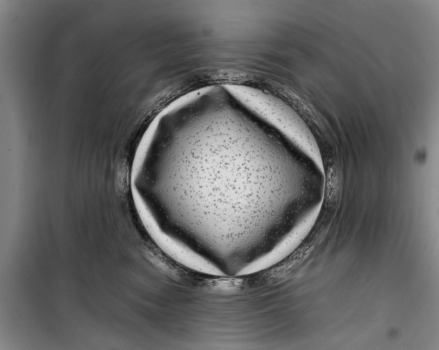 X0000099430474200805301432