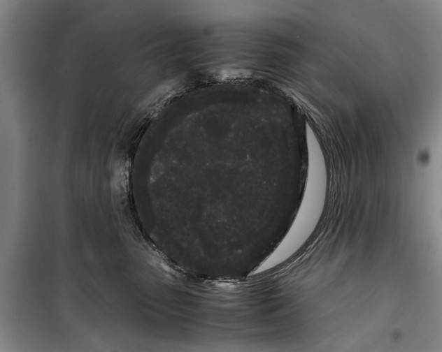 X0000099430475200805301432