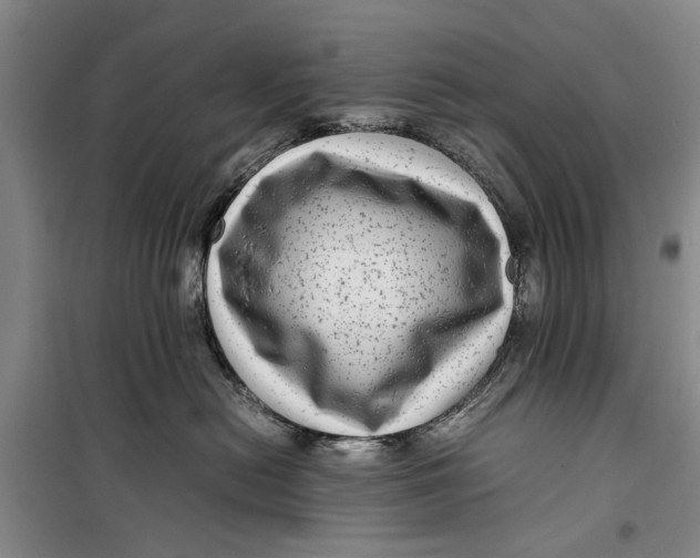 X0000099430478200805301433