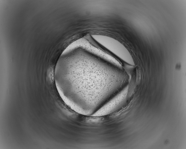 X0000099430479200805301433