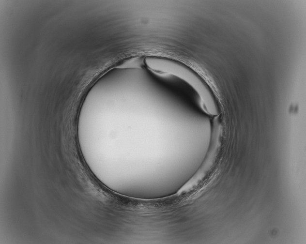 X0000099430481200805301432