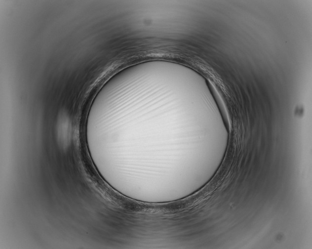 X0000099430482200805301432