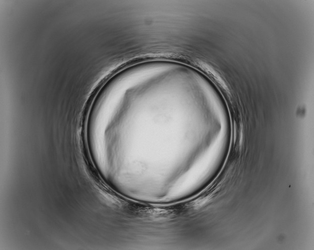 X0000099430483200805301432