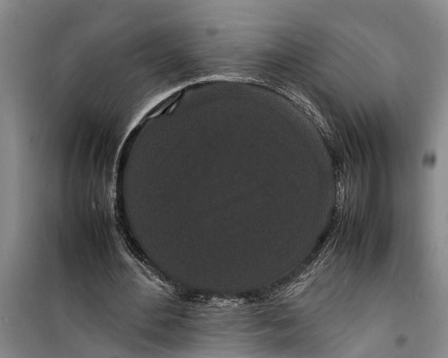 X0000099430484200805301432