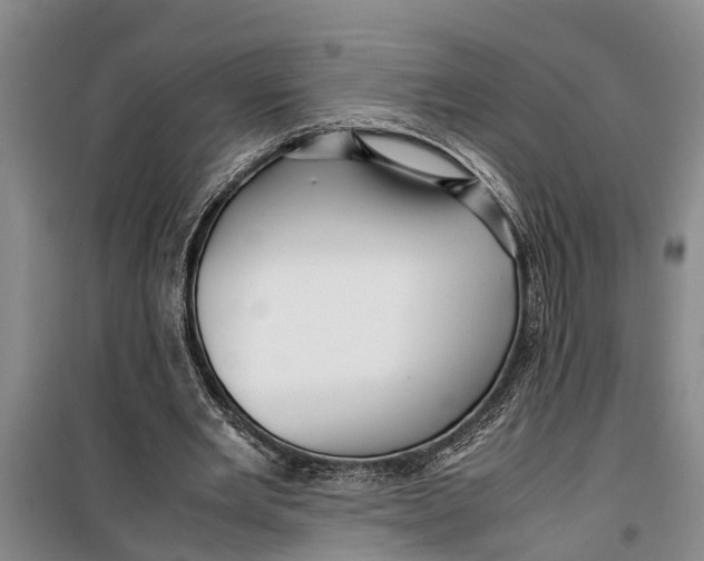 X0000099430485200805301432