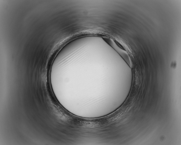 X0000099430486200805301432