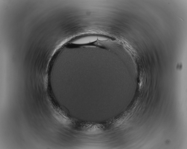 X0000099430488200805301432