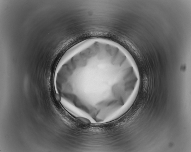 X0000099430490200805301432