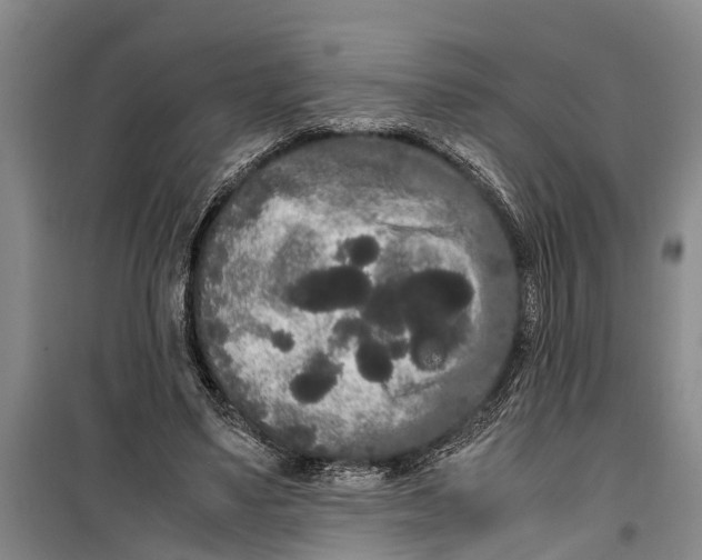 X0000099430491200805301432