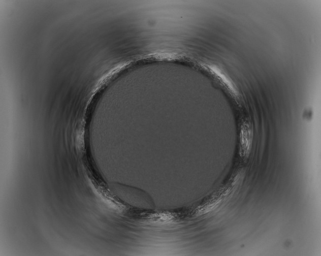 X0000099430492200805301432