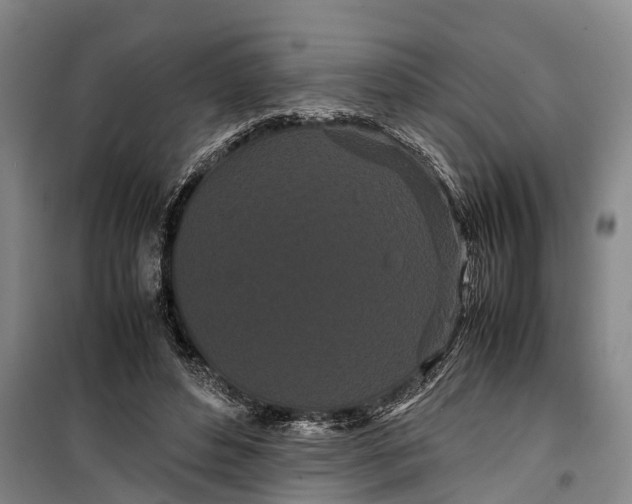 X0000099430496200805301432