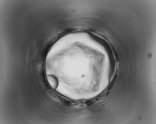 X0000099430499200805301432