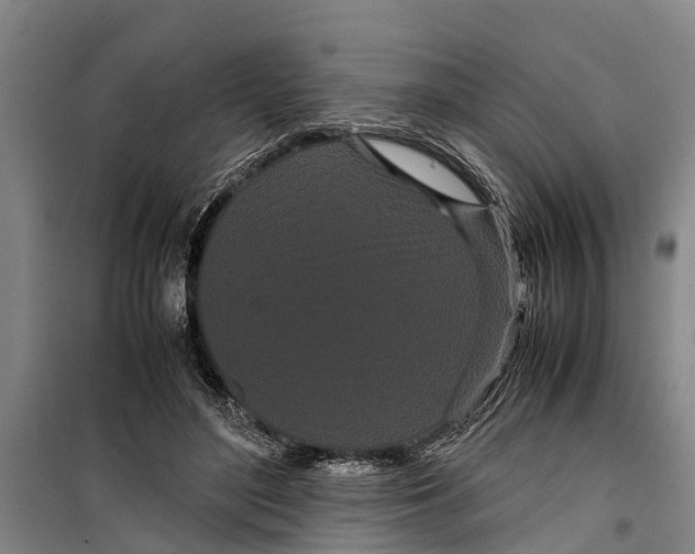 X0000099430500200805301432