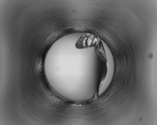 X0000099430502200805301432