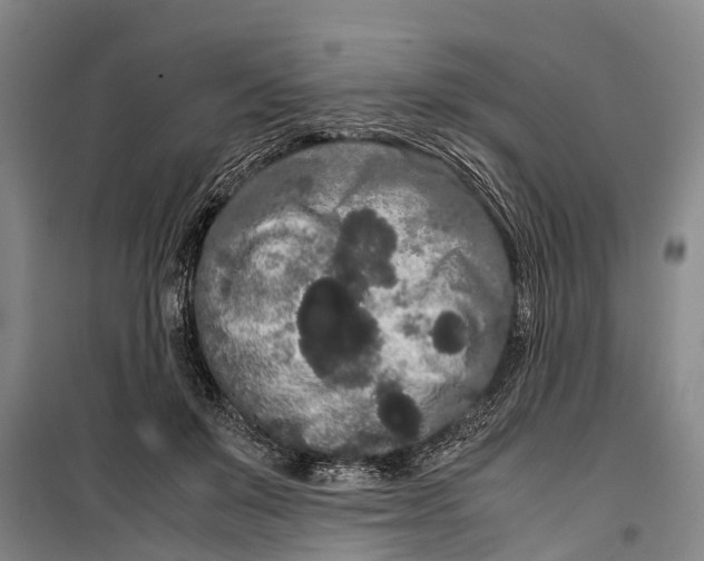 X0000099430503200805301432