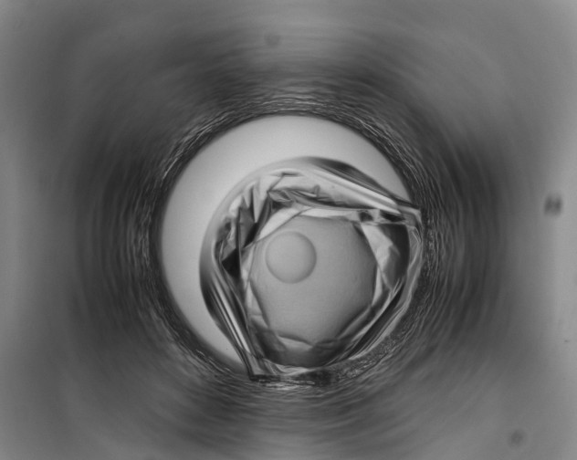 X0000099430504200805301432