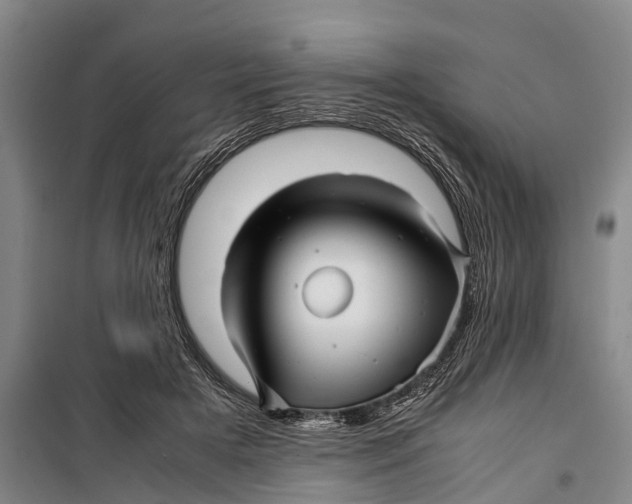 X0000099430505200805301432