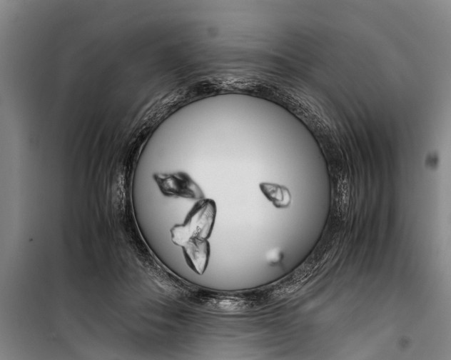 X0000099430506200805301432