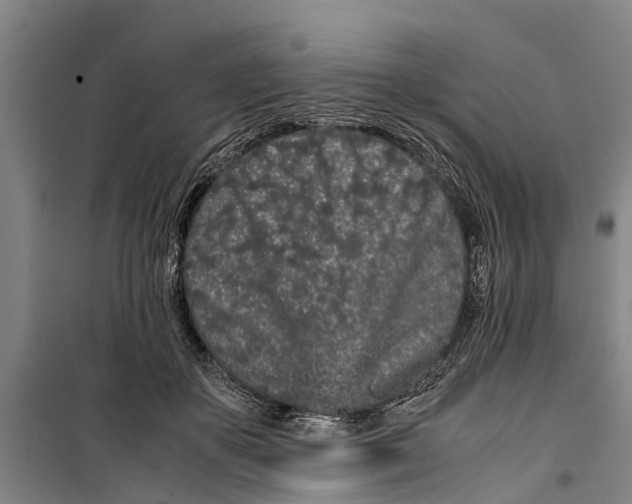 X0000099430507200805301432