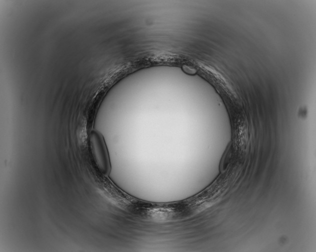 X0000099430508200805301432