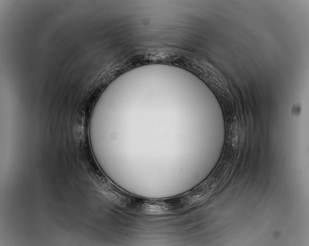 X0000099430510200805301432