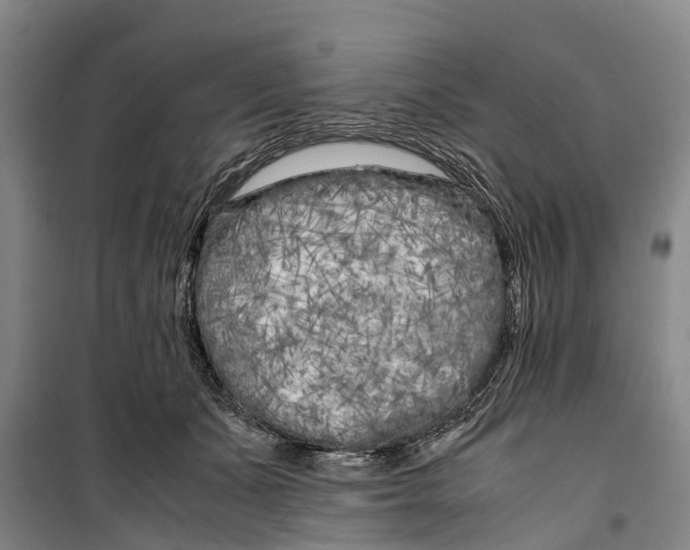 X0000099430511200805301432