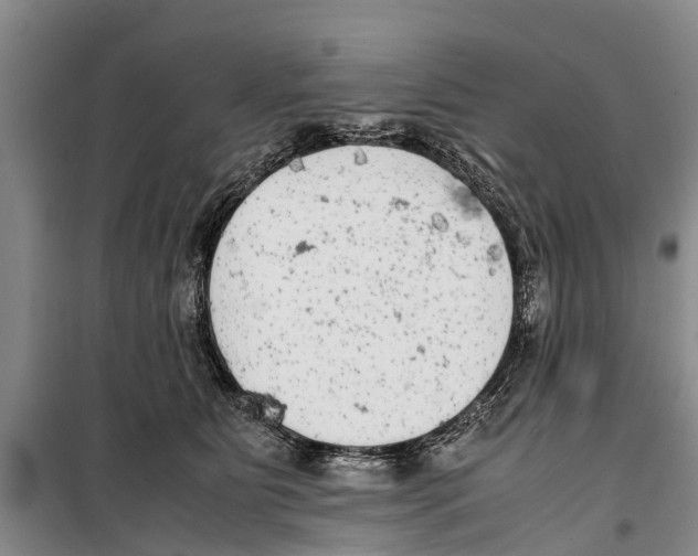 X0000099430515200805301431