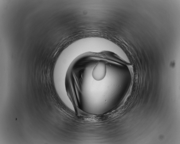 X0000099430516200805301431