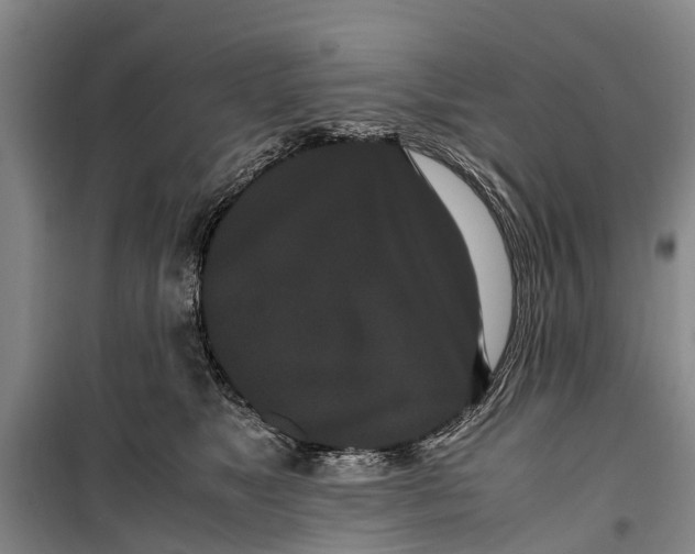 X0000099430517200805301431