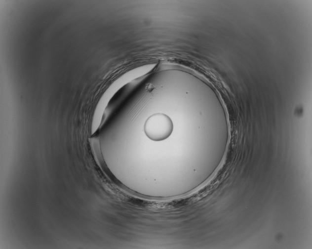 X0000099430521200805301431