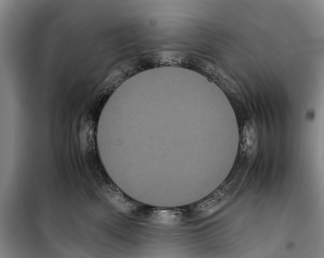 X0000099430522200805301431