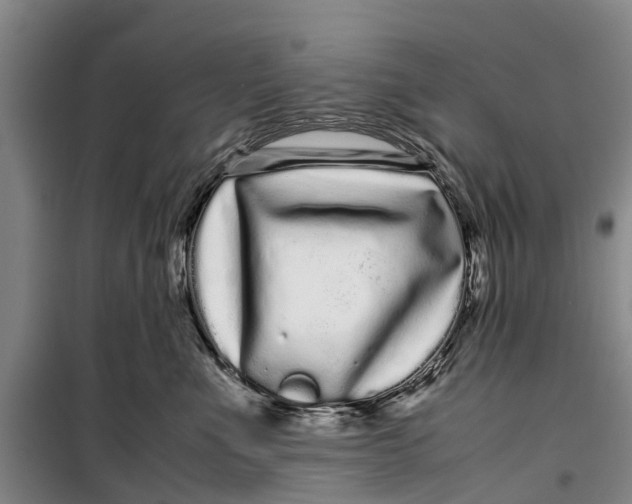 X0000099430523200805301431