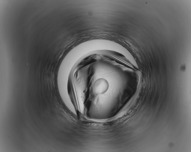 X0000099430524200805301431