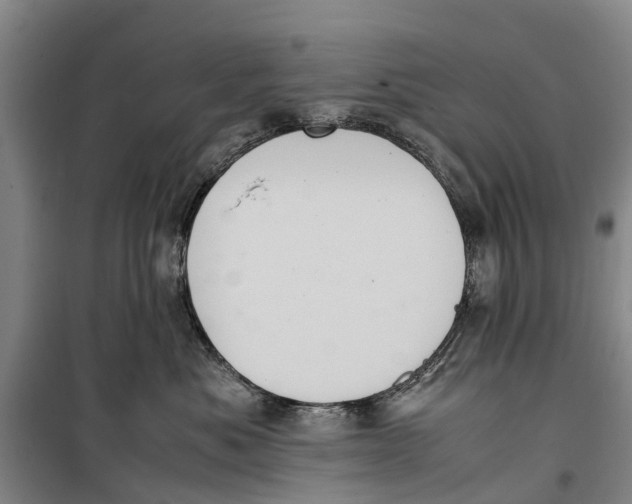 X0000099430525200805301431