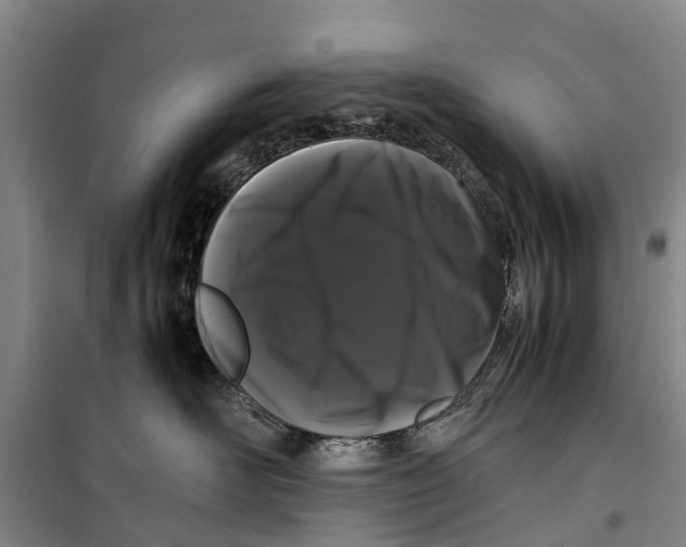 X0000099430526200805301431