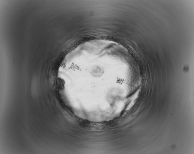 X0000099430527200805301431