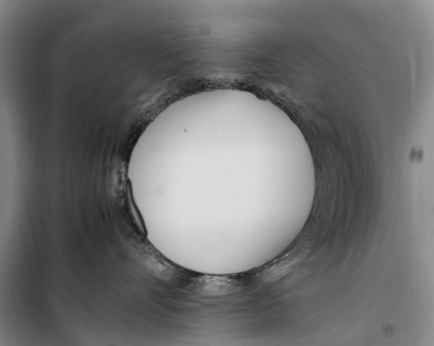 X0000099430528200805301431