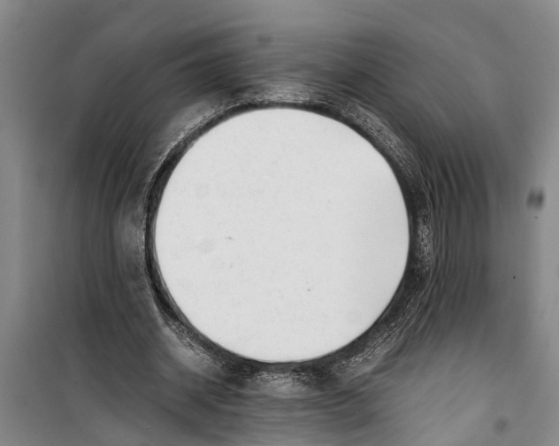 X0000099430534200805301431