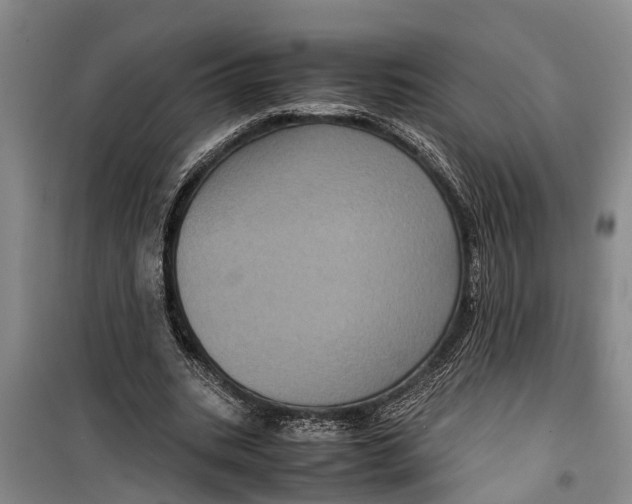 X0000099430535200805301431