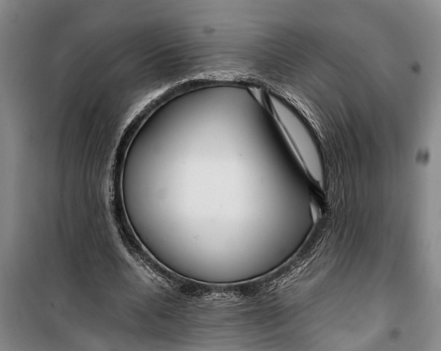 X0000099430536200805301431