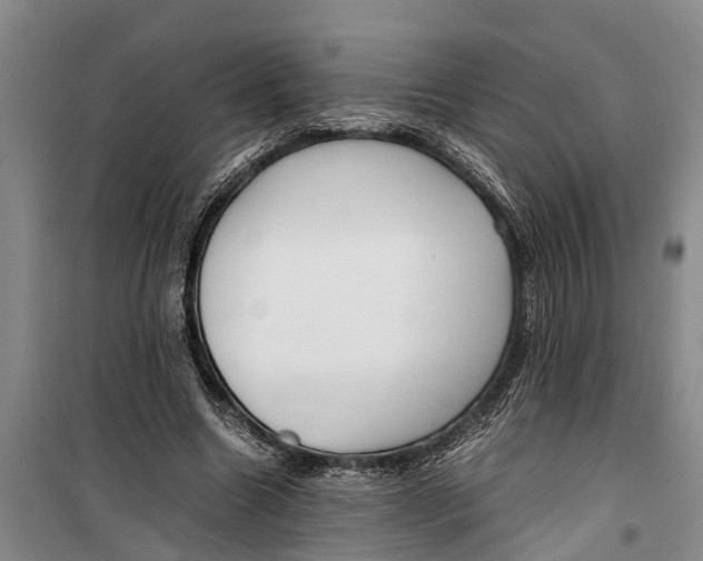 X0000099430538200805301431