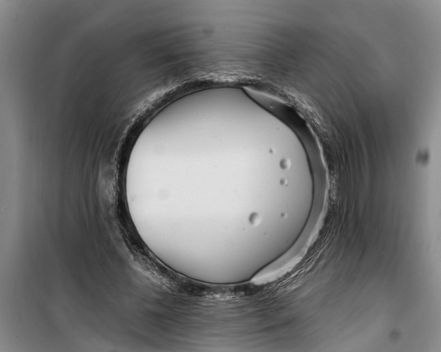 X0000099430540200805301431