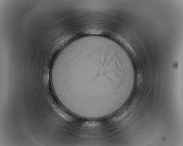 X0000099430541200805301431